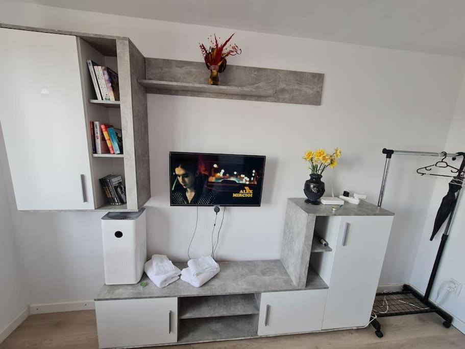Garsoniera - Moderna - Timisoara Apartment Luaran gambar
